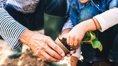 Tieto veci nevyhadzujte, použiť ich môžete v záhradke. Ponúkame desať užitočných rád, vďaka ktorým aj ušetríte
