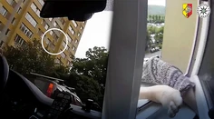 VIDEO: Žena v Prahe plašila holuby a vypadla z okna. Na siedmom poschodí visela len za nohu