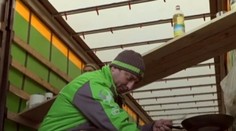 BBC zverejnilo video otrasných pracovných podmienok slovenskej firmy. Tá to odmieta