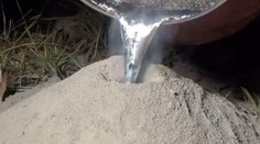 Pozrite, čo sa stane, keď do mraveniska nalejete tekutý hliník