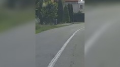 Chvíľa hrôzy pre obyvateľa Detvy. Do dvora mu vbehol medveď