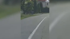 Chvíľa hrôzy pre obyvateľa Detvy. Do dvora mu vbehol medveď