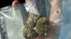 HHC už vyčíňa aj v susednom Česku. Viacerí školáci skončili s otravou v nemocnici