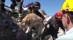 Zemetrasenie ich pripravilo o dom. Po 9 dňoch prišli k troskám a neverili vlastným očiam