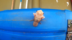 Muž nakrútil dychberúce video. Pozrite, čo vylezie z telesnej schránky