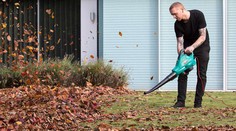 Najznámejší obraz na svete trochu inak. Umelec ho vytvoril z lístia