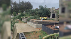 Po výrube stromov zostali na hroboch konáre. Vranovčania hovorili o vrchole neúcty