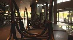 Kuchárom a čašníkom došla trpezlivosť: Pripravujú žalobu na hlavného hygienika Mikasa