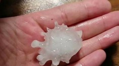 Obyvateľov Mexika vystrašili krúpy v tvare koronavírusu. Považujú ich za znamenie