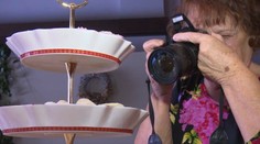 Táto slovenská blogerka a kuchárka je výnimočná. Má takmer 80 rokov