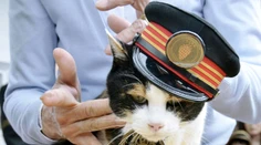 Japonsko oplakáva mačku, ktorá slúžila ako prednostka železničnej stanice
