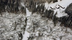 V štyroch okresoch Slovenska hrozí mimoriadne silný vietor až 160 km/h