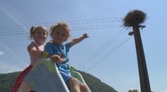 Bocianom sa vyliahli trojičky priamo pri dome, kde žijú trojročné dvojčatá