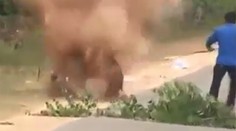 Pes vyňuchal bombu, tá mu explodovala rovno pod nosom. Mal však šťastie