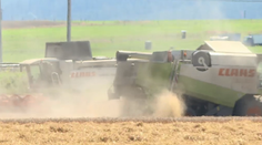 Žatva bola rekordná, ale cena pečiva môže porásť