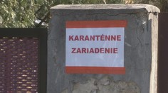 Pribúdajú centrá pre repatriantov. Ľudia sa sťažujú na chaos i dlhé čakanie