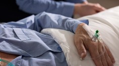 V Európe sa rýchlo šíri nebezpečný patogén. Pre ľudí je jedným z najnebezpečnejších na Zemi