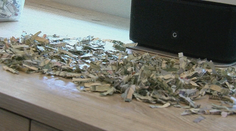 Rok šetrili peniaze, aby si splnili želanie. Vyše 1 000 dolárov im však skartoval syn (2)