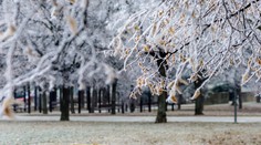 Niektoré časti Slovenska čaká poriadne mrazivá noc. V týchto okresoch bude až do -20 stupňov