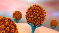 Nová štúdia o koronavíruse: Pri rozprávaní nakazeného zostáva vírus vo vzduchu viac ako osem minút