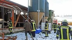 Kravské plyny spôsobili explóziu. Vybuchla maštaľ