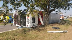 Pri Nitre sa prevrátil kamión plný prasiat