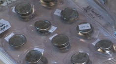 Lykožrút pomohol objaviť poklad slovenských Keltov