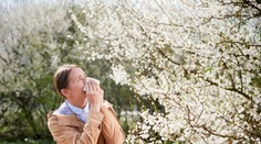 Skorý príchod jari trápi alergikov. Liečba príznakov však nemusí uspávať, alergiu sa dá aj vyliečiť