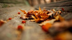 Dážď nás potrápi ešte pár dní, potom sa ukáže slnko a oteplí sa