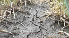 Slovensko má za sebou rekordne suchý apríl. Najviac trpí nedostatkom dažďa juh krajiny