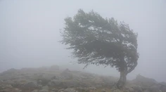 Turistiku radšej vynechajte. Pre tri okresy platí výstraha najvyššieho stupňa pred vetrom na horách