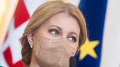 Prezidentka sa pre otázku v referende obráti na ústavný súd, tvrdí Remišová