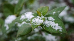 Na pár dní sa ochladí, na severe bude aj snežiť