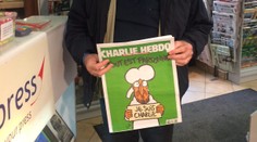 Irán vypísal súťaž o najlepšiu karikatúru o popieraní holokaustu