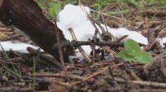 Hory sú po letnej sezóne označkované. Vďaka našim nežnejším polovičkám