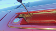 Austrálčan sa chystal autom do práce, pod kľučkou na neho striehlo osemnohé prekvapenie