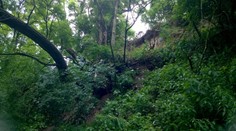 Dráma v bratislavskom Devíne. Po búrke sa začal zosúvať svah