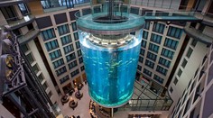 V centre Berlína prasklo obrie akvárium, voda zaliala ulice. Cielený útok to podľa polície nebol