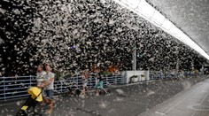 Známy most v Piešťanoch zaplavil hmyz: Prechádzajúci ľudia od úžasu len lapali po dychu