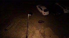 VIDEO: Medveď sa prechádzal pod balkónom apartmánu v Starom Smokovci