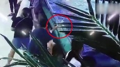 VIDEO: Žralok v nákupnom centre takmer odhryzol dievčatku prsty