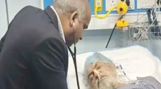 Prípad ako zo sci-fi. Muž tesne pred svojim pohrebom ožil, zázračne ho prebudil cestný výtlk