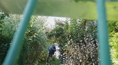 Dôchodca má problémy. Zbil maloletého zlodeja, ktorý kradol jablká