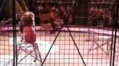 VIDEO: Hrôza v cirkuse na Ukrajine: Mohutný lev zaútočil na krotiteľa