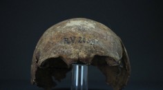 Nový objav vedcov prekvapil: Našli prvú známu obeť moru