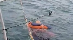 Záhadné zmiznutie: Žena bola nezvestná dva roky, našli ju polomŕtvu na otvorenom mori