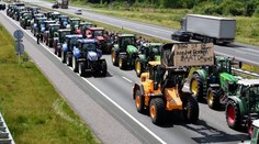 Holandskí farmári zúria, polícia tasí pištole. Vláda plánuje zabiť až tretinu kráv