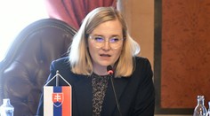 Marcinková stiahla návrh, ktorý garantoval dieťaťu právo na rodiča v nemocnici. Dôvodom sú poslanci OĽaNO