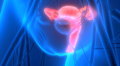 Tento druh rakoviny sa u nás vyskytuje päťkrát častejšie ako v iných krajinách