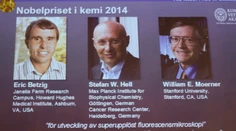 Nobelovku za chémiu dostala trojica, ktorá nám umožnila nahliadnuť do nanosveta